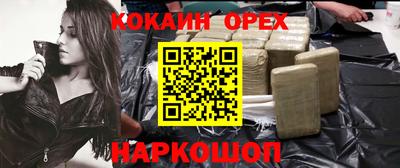 мдпв Кингисепп