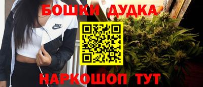 мдпв Кингисепп