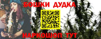 мдпв Кингисепп
