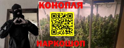 ешки Кинель