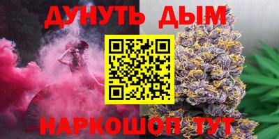 мдпв Кингисепп